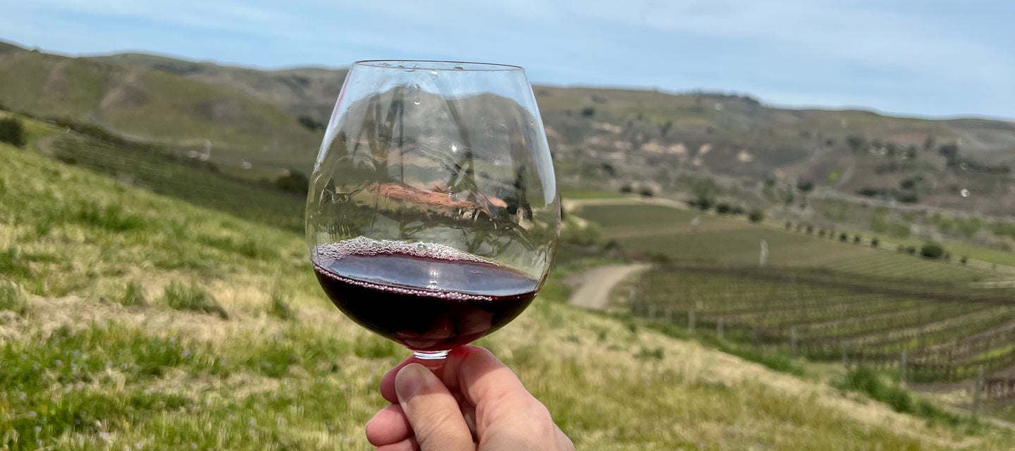Glass of red wine overlooking vineyard hills, from the original Overshare site